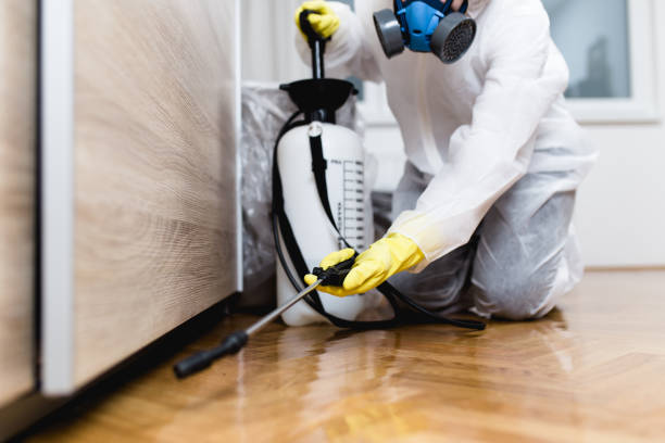 Wasp Removal Services in Cooper, TX
