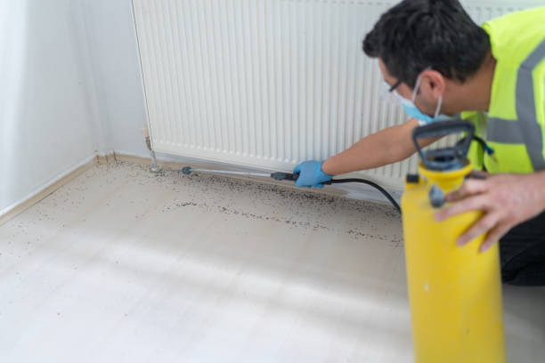 Pest Prevention Services in Cooper, TX